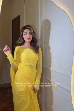 Stylish Bollywood Plain Georgette Premium Saree for Women